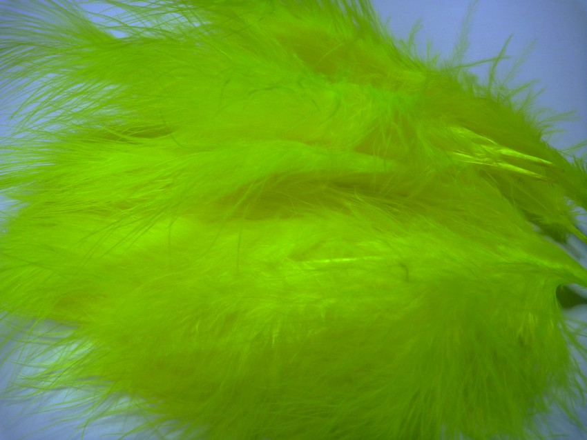 WET YOUR FLY Marabou Feathers For Fly Tying - 12 Plumes, Assorted Selection