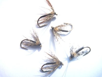 noyee black 005