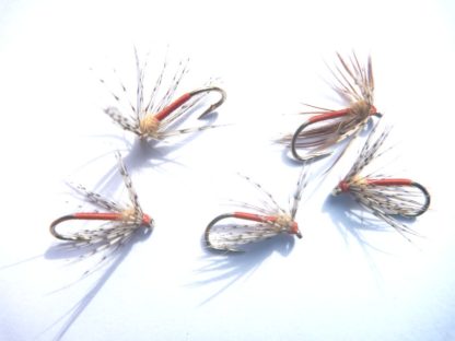 noyee orange 007